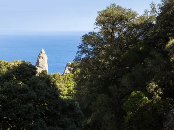Pinnacolo di Cala Goloritzé visto dal sentiero tra la vegetazione, con il mare sullo sfondo.