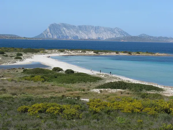 Spiaggia dell’Isuledda e mare con Tavolara sullo sfondo.