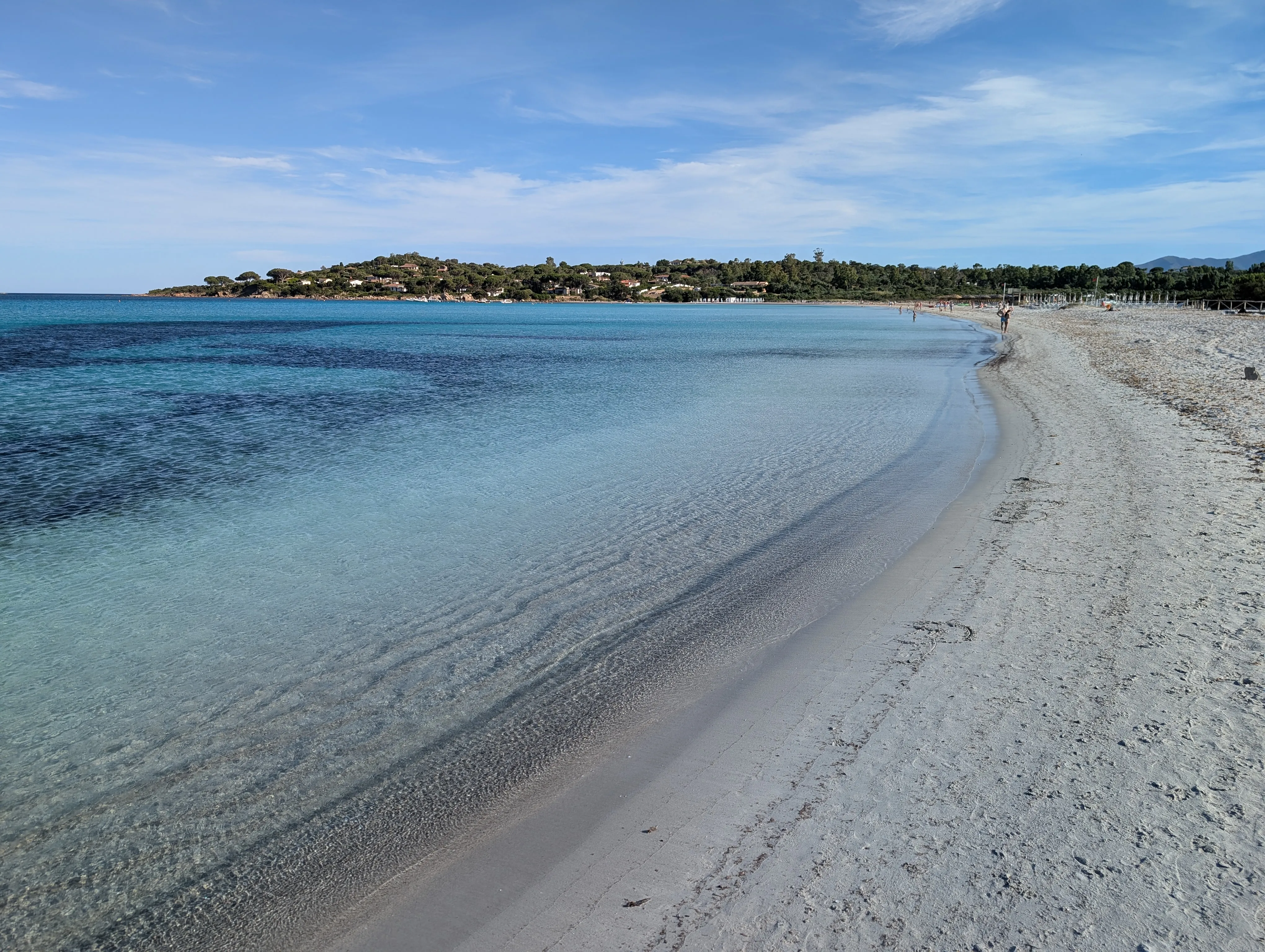 La riva sabbiosa di Lu Impostu curva attorno alla baia, con acqua trasparente e vegetazione sullo sfondo.