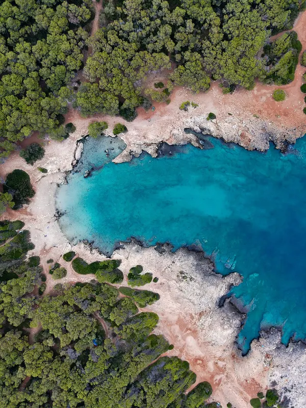 Vista aerea della baietta di Porto Selvaggio fra pineta e rocce.